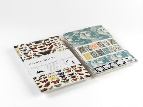 Natural History - Pepin van Roojen