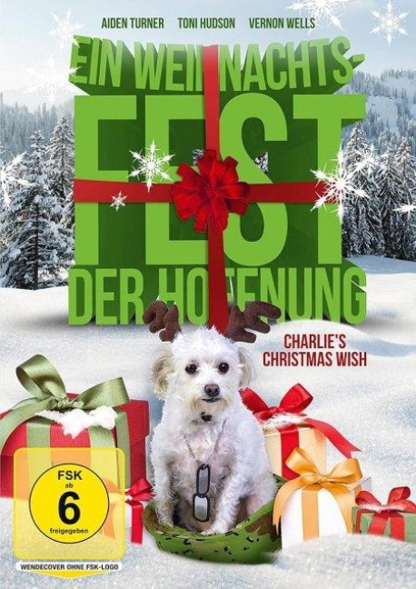 Ein Weihnachtsfest der Hoffnung - Charlies Christmas Wish - Sue Ann Taylor, Peter Allen