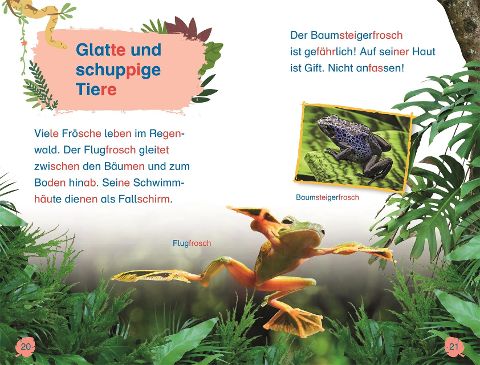 InsideView 12