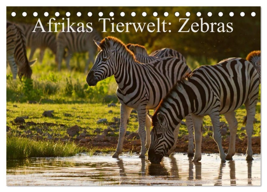 Afrikas Tierwelt: Zebras (Tischkalender 2026 DIN A5 quer), CALVENDO Monatskalender - Michael Voß