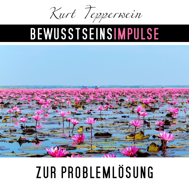 Bewusstseinsimpulse zur Problemlösung - Kurt Tepperwein