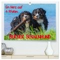 Ein Herz auf 4 Pfoten - Berner Sennenhund (hochwertiger Premium Wandkalender 2024 DIN A2 quer), Kunstdruck in Hochglanz - Sigrid Starick