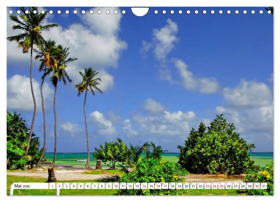 InsideView 10