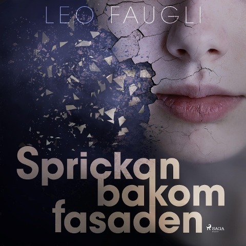 Sprickan bakom fasaden - Leo Faugli