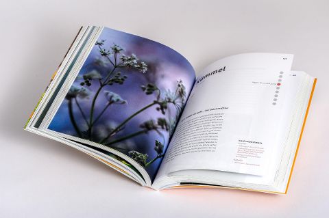 InsideView 5