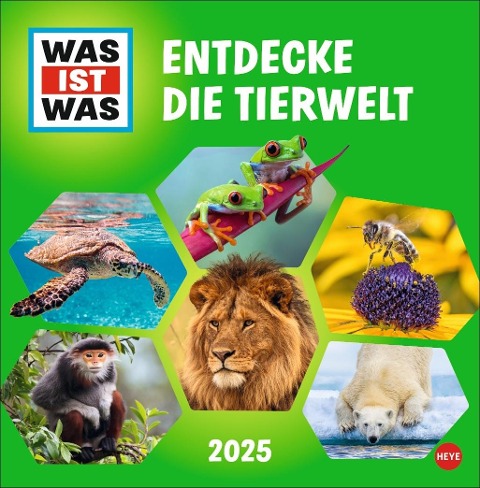 WAS IST WAS Tierwelt Broschurkalender 2025 - 