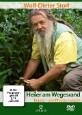 Heiler am Wegesrand - Wolf-Dieter Storl