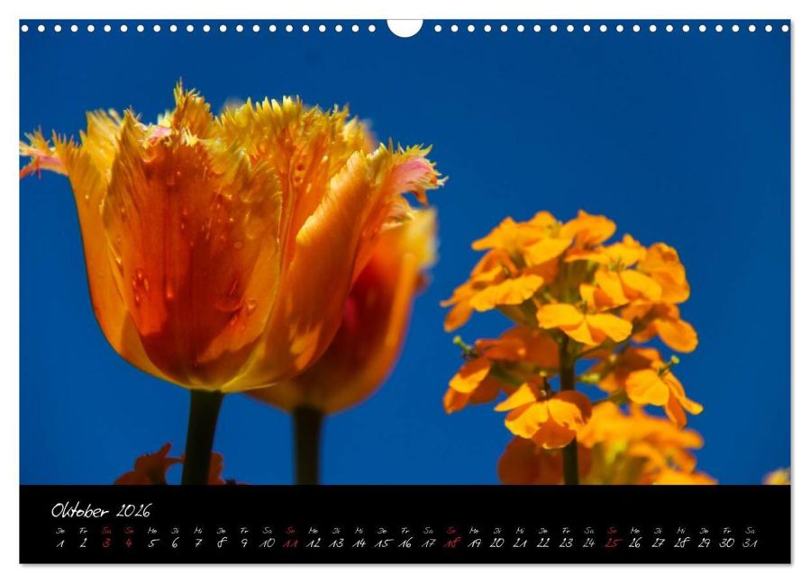 InsideView 2