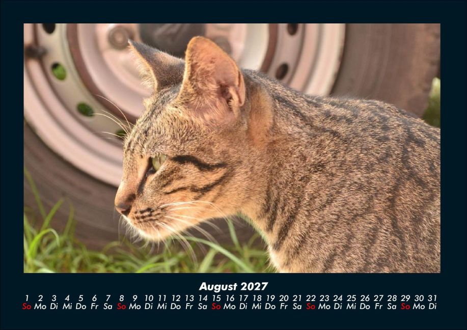 InsideView 12