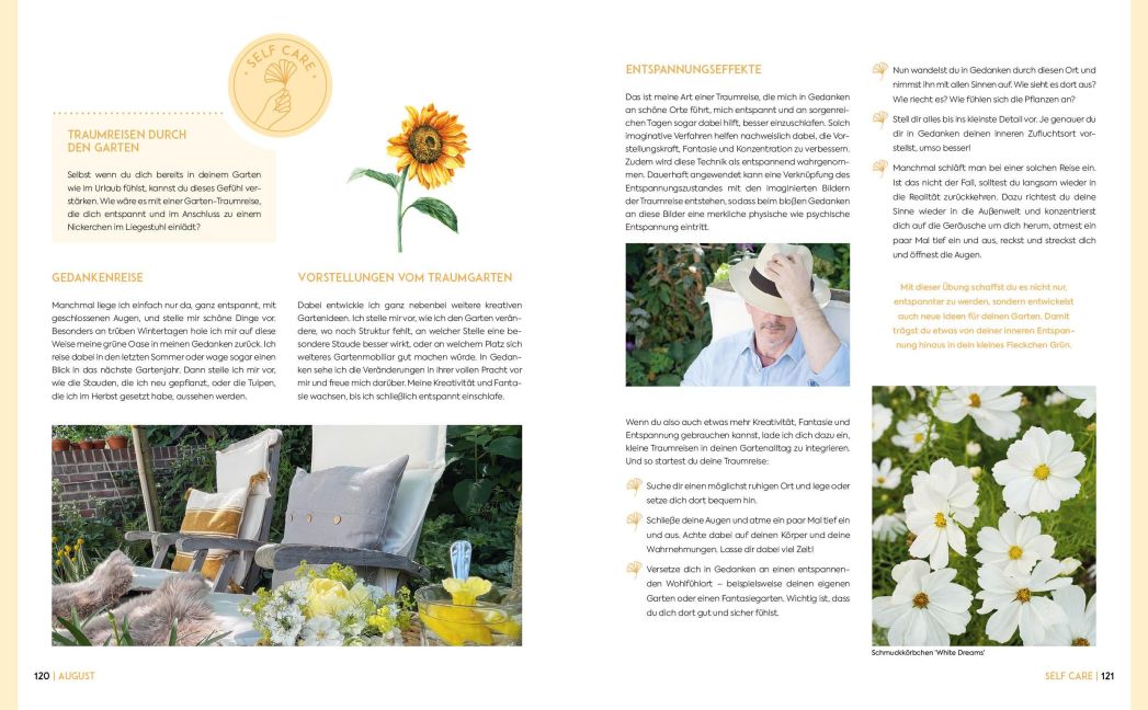 InsideView 11