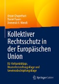Kollektiver Rechtsschutz in der Europäischen Union - Aryan Chaprehari, Domenik H. Wendt, Daniel Saam