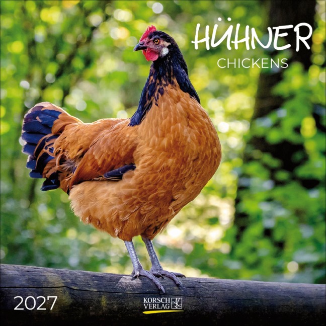 Hühner 2027 - 