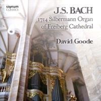 D.Goode An Der Gottfried Silbermann Orgel Von - David Goode