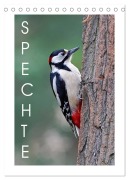 Cover-Bild zum Titel 'Spechte (Tischkalender 2026 DIN A5 hoch), CALVENDO Monatskalender' von 'Gerald Wolf'