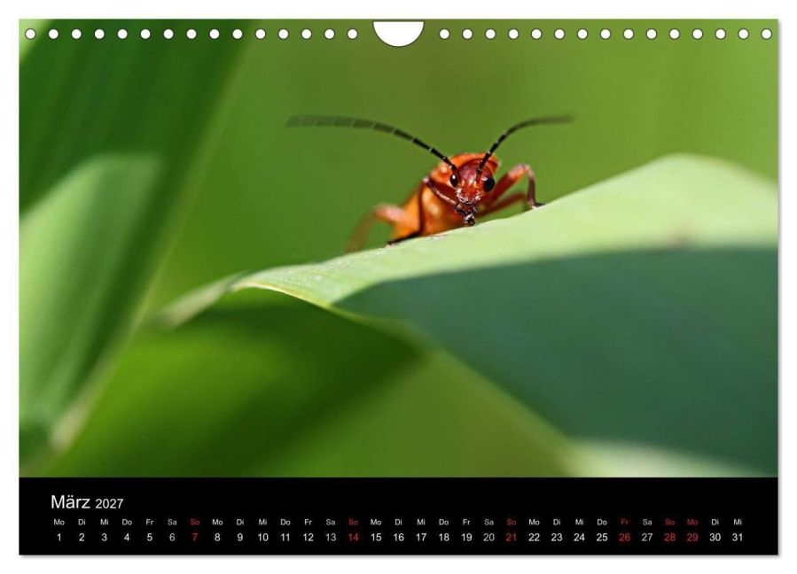 InsideView 8