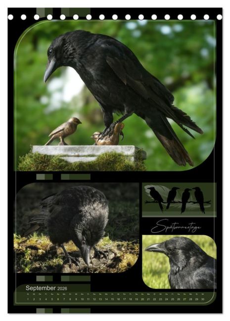 InsideView 14