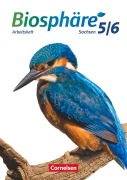 Cover-Bild zum Titel 'Biosphäre Sekundarstufe I - 5./6. Schuljahr - Gymnasium Sachsen - Arbeitsheft' von ''