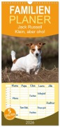 Familienplaner 2026 - Jack Russell - Klein, aber oho! mit 5 Spalten (Wandkalender, 21 x 45 cm) CALVENDO - Annett Mirsberger Tierpfoto. De