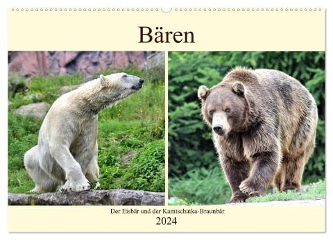 Bären - Der Eisbär und der Kamtschatka-Braunbär (Wandkalender 2024 DIN A2 quer), CALVENDO Monatskalender - Arno Klatt