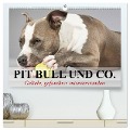 Pit Bull und Co. - Geliebt, gefürchtet, missverstanden (hochwertiger Premium Wandkalender 2025 DIN A2 quer), Kunstdruck in Hochglanz - Elisabeth Stanzer