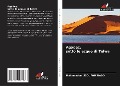 Cover-Bild zum Titel 'Agadez, sotto le acque di Telwa' von 'Mahamadou Issoufou Tiado'