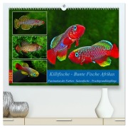Cover-Bild zum Titel 'Killifische - Bunte Fische Afrikas (hochwertiger Premium Wandkalender 2026 DIN A2 quer), Kunstdruck in Hochglanz' von 'Rudolf Pohlmann'