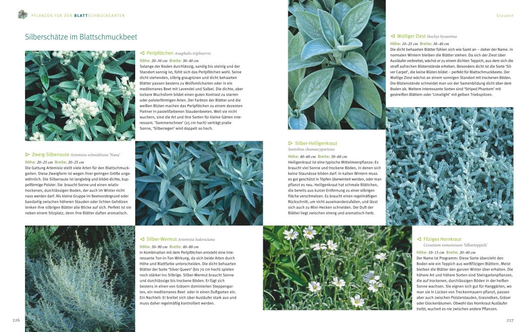 InsideView 10