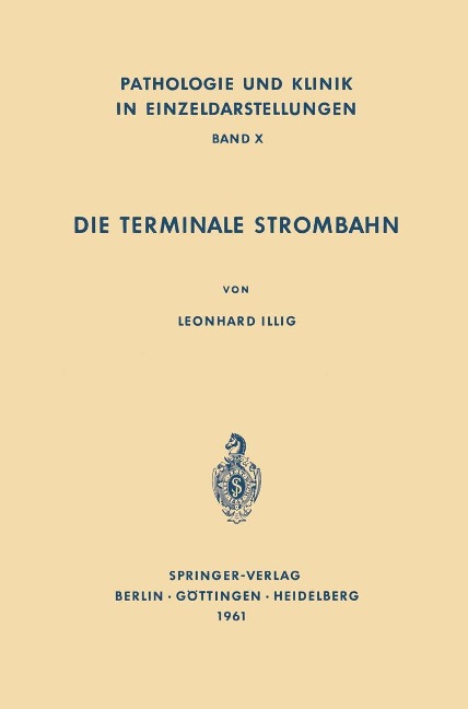 Die Terminale Strombahn - L. Illig
