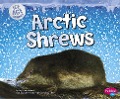 Arctic Shrews - Joy Frisch-Schmoll