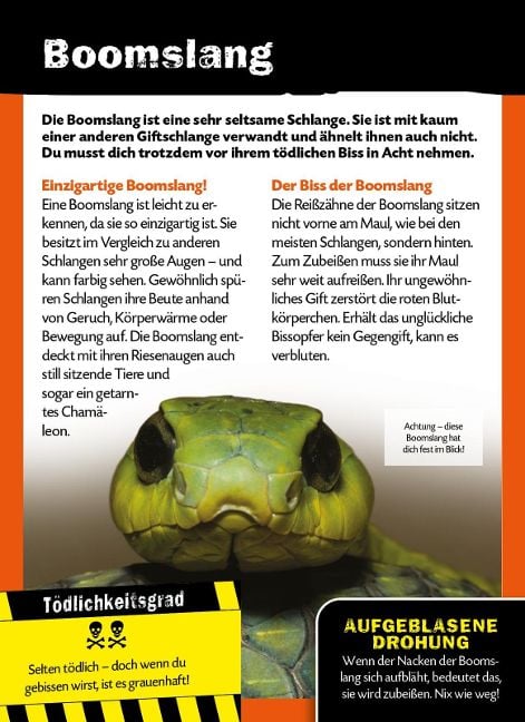InsideView 2