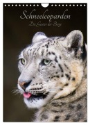 Cover-Bild zum Titel 'Schneeleoparden - Die Geister der Berge (Wandkalender 2026 DIN A4 hoch), CALVENDO Monatskalender' von 'Cloudtail The Snow Leopard'