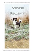 Cover-Bild zum Titel 'Solving Reactivity' von 'Cornelia Koschatzky'