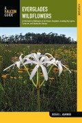 Cover-Bild zum Titel 'Everglades Wildflowers' von 'Roger L. Hammer'