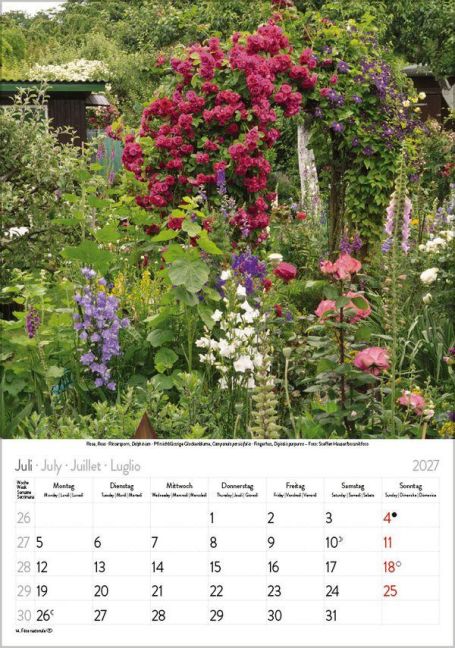 InsideView 7