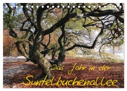 Cover-Bild zum Titel 'Das Jahr in der Süntelbuchenallee (Tischkalender 2026 DIN A5 quer), CALVENDO Monatskalender' von 'Bernhard Loewa'