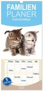 Familienplaner 2026 - Katzenbabys mit 5 Spalten (Wandkalender, 21 x 45 cm) CALVENDO - Hesch-Foto Hesch-Foto