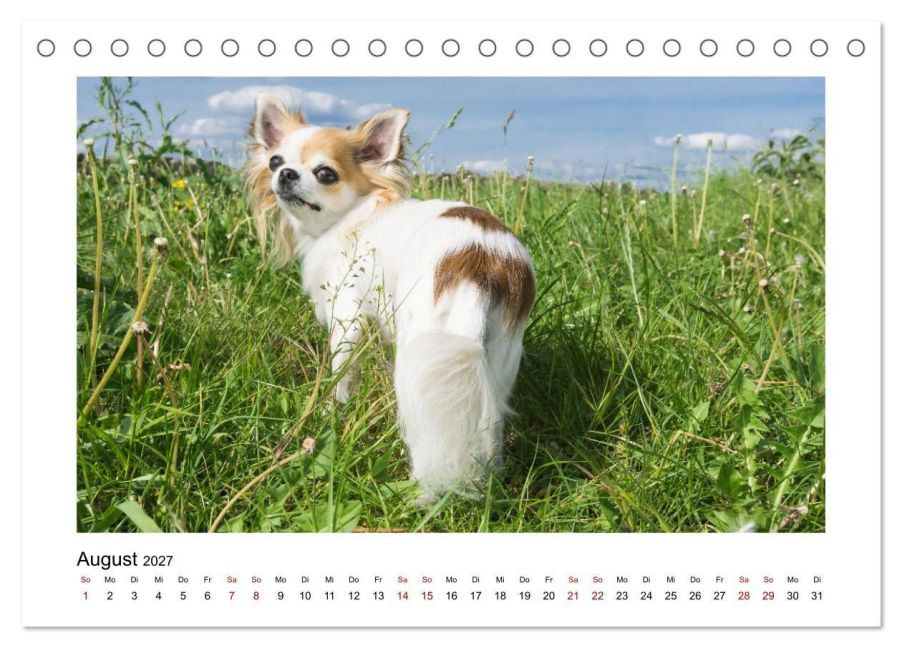 InsideView 13