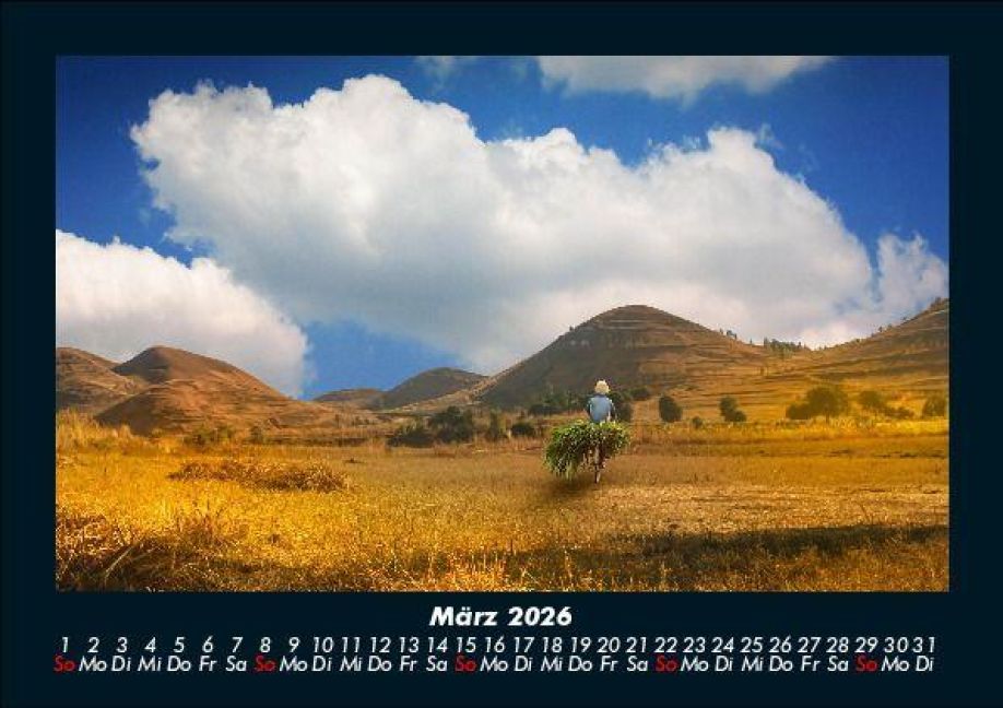 InsideView 7
