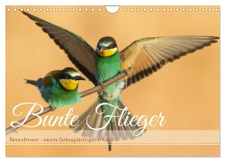 Cover-Bild zum Titel 'Bunte Flieger (Wandkalender 2026 DIN A4 quer), CALVENDO Monatskalender' von 'Frederic Bauer'