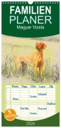 Cover-Bild zum Titel 'Familienplaner 2026 - Magyar Vizsla 2026 mit 5 Spalten (Wandkalender, 21 x 45 cm) CALVENDO' von 'Andrea Redecker'