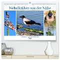 Nebelkrähen aus der Nähe - Faszinierende Vögel am Kurischen Haff (hochwertiger Premium Wandkalender 2024 DIN A2 quer), Kunstdruck in Hochglanz - Henning von Löwis of Menar