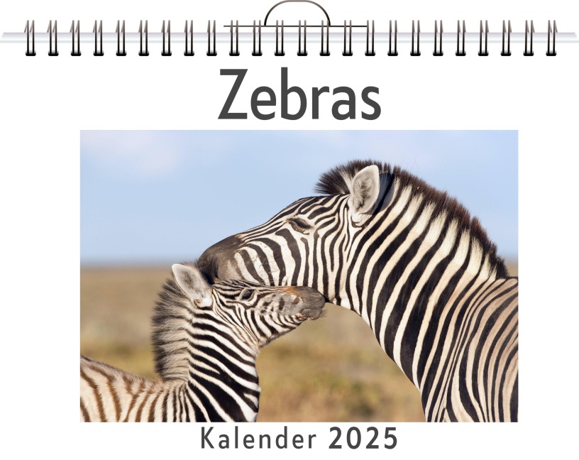 Zebras - (Wandkalender 2025, Kalender DIN A4 quer, Monatskalender im Querformat mit Kalendarium, das perfekte Geschenk) - Leon Hoffmann