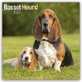 Basset Hound - Bassets 2024 - 16-Monatskalender - Avonside Publishing Ltd
