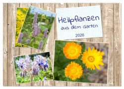 Cover-Bild zum Titel 'Heilpflanzen aus dem Garten (Wandkalender 2026 DIN A2 quer), CALVENDO Monatskalender' von 'Kerstin Waurick'