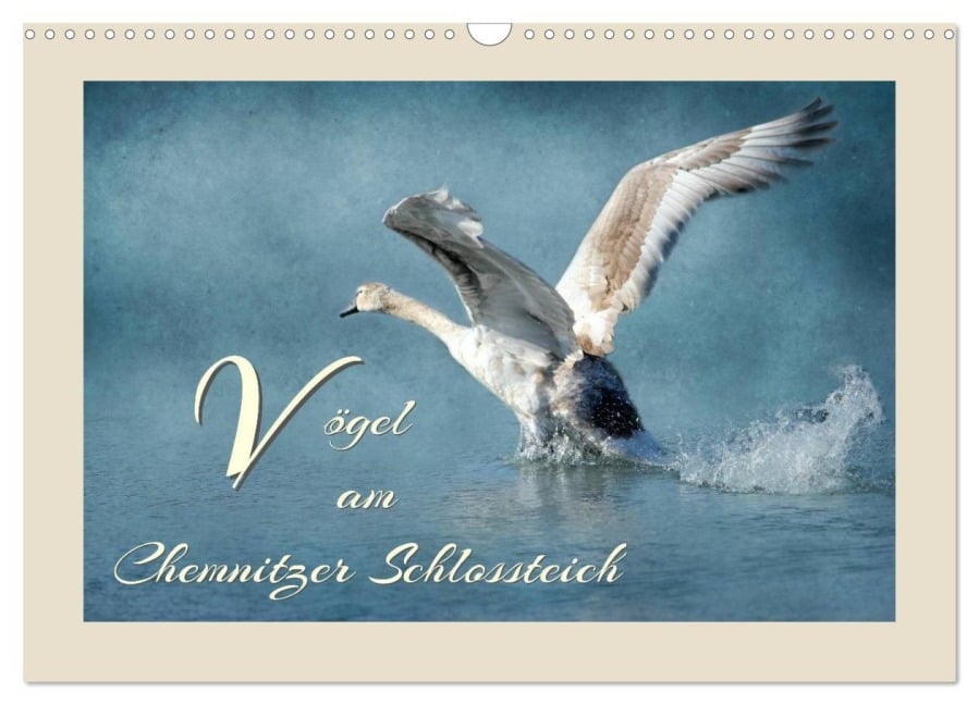 Vögel am Chemnitzer Schlossteich (Wandkalender 2026 DIN A3 quer), CALVENDO Monatskalender - Heike Hultsch
