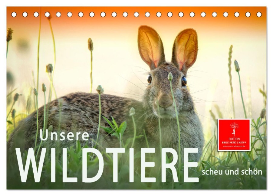 Unsere Wildtiere - scheu und schön (Tischkalender 2026 DIN A5 quer), CALVENDO Monatskalender - Peter Roder