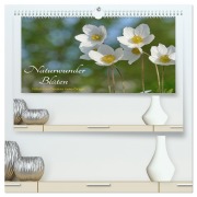 Cover-Bild zum Titel 'Naturwunder Blüten (hochwertiger Premium Wandkalender 2026 DIN A2 quer), Kunstdruck in Hochglanz' von 'Cordula Kelle-Dingel CoKeDi-Photographie'