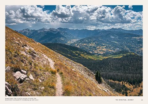 InsideView 6