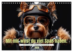 Cover-Bild zum Titel 'Der humoristische Yorkshire Terrier Kalender (Wandkalender 2026 DIN A4 quer), CALVENDO Monatskalender' von 'Peter Rübsamen'