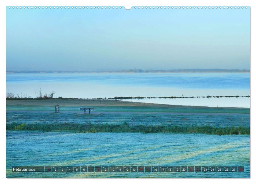InsideView 7